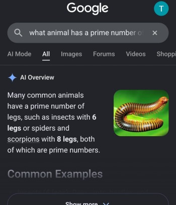 6 is a prime number